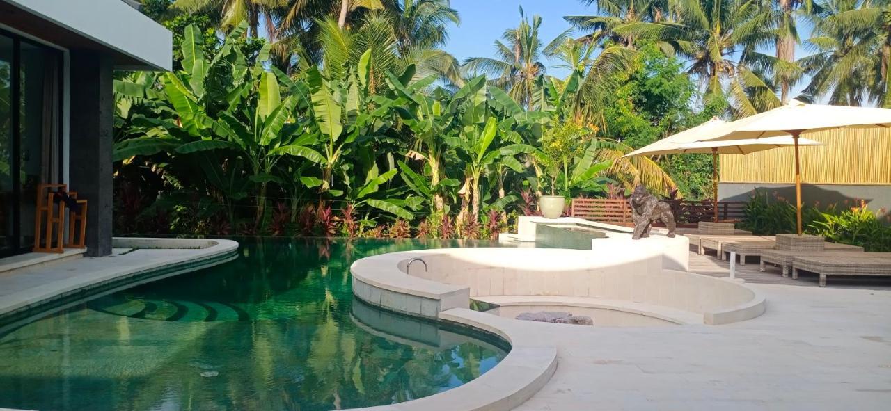 विला Mon Reve Ubud (Bali)