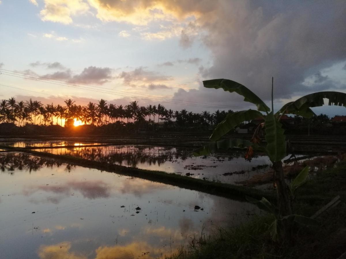 Mon Reve विला Ubud (Bali)