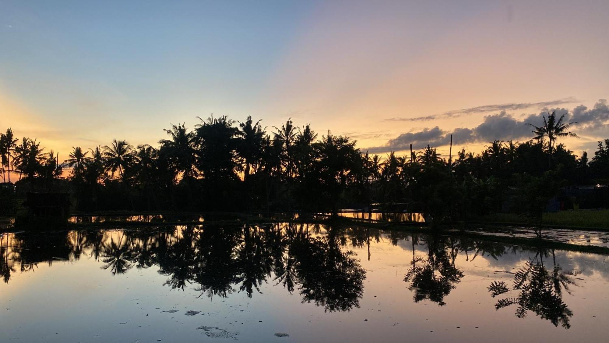Mon Reve विला Ubud (Bali)